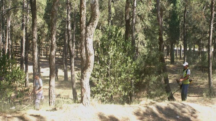 Κτηνωδία στην Πάτρα: Ποδηλάτης βρήκε αλεπού κρεμασμένη – Σκληρή εικόνα!