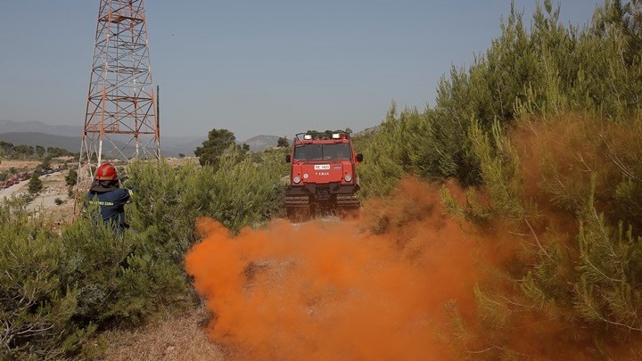 Πρωτοβουλία του WWF Ελλάς για τοπικά σχέδια δράσης πρόληψης των δασικών πυρκαγιών