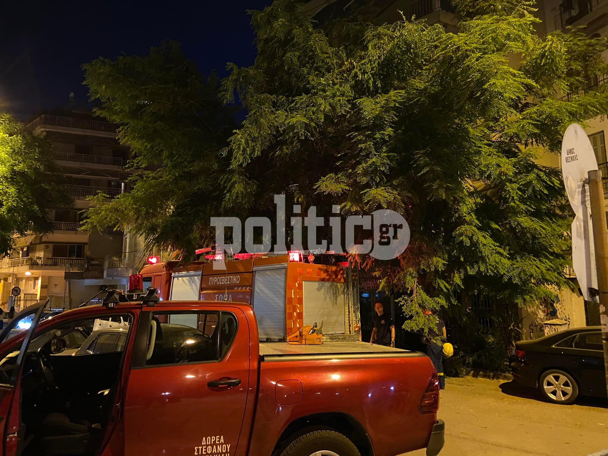 Θεσσαλονίκη: Δέντρο κατέρρευσε και καταπλάκωσε σταθμευμένα οχήματα