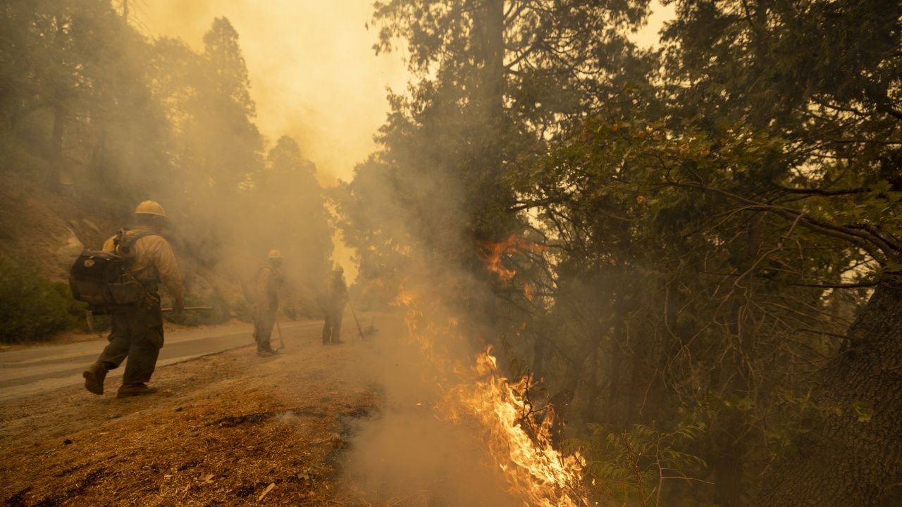 Εκκενώθηκε κοινότητα κοντά στο Βερολίνο λόγω δασικής πυρκαγιάς