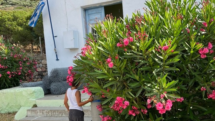 Οι μαθητές από τη Γαύδο και την Τέλενδο στέλνουν ηχηρό μήνυμα για ένα καθαρότερο περιβάλλον