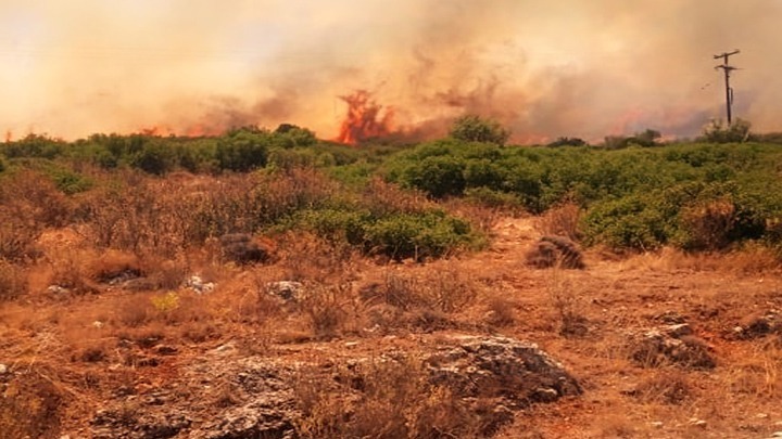 Πυρκαγιά σε δασική έκταση στην Σκόπελο