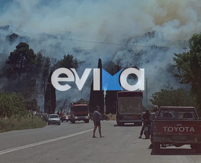 Εύβοια: Μεγάλη φωτιά τώρα στο Αλιβέρι κοντά σε κατοικημένη περιοχή
