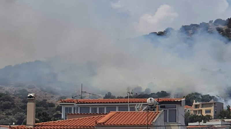 Αττική: Συναγερμός για φωτιά στην Αρτέμιδα – Υπό μερικό έλεγχο το πύρινο μέτωπο