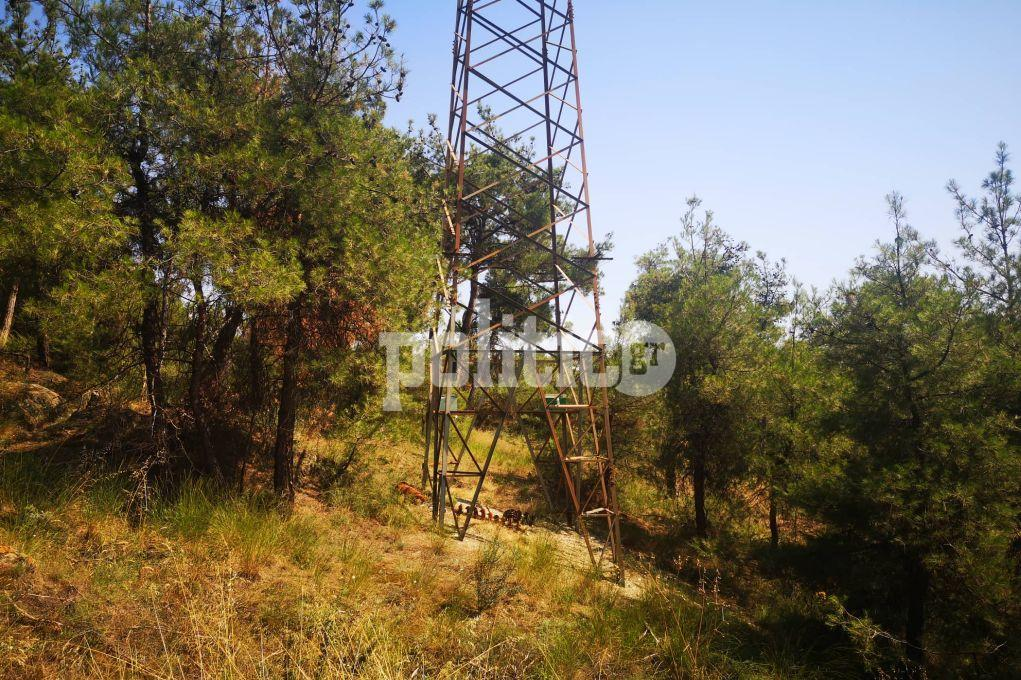 Θεσσαλονίκη: Σκουπίδια και… ξερά χόρτα η εικόνα του Σεϊχ Σου – Αποκαρδιωτική η κατάσταση του δάσους