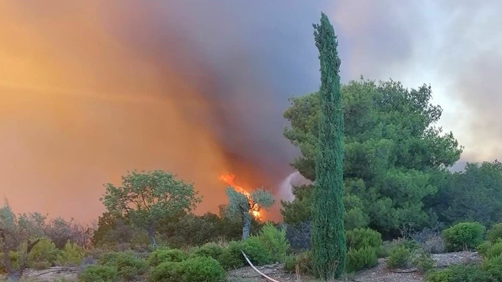 Σε εξέλιξη η φωτιά στην περιοχή Κορακιά Κρανιδίου – Επιχειρούν και εναέρια μέσα