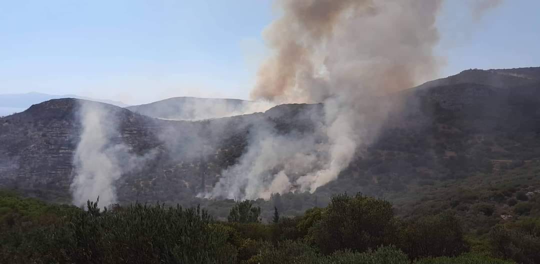 Σάμος: Νέα αναζωπύρωση της φωτιάς