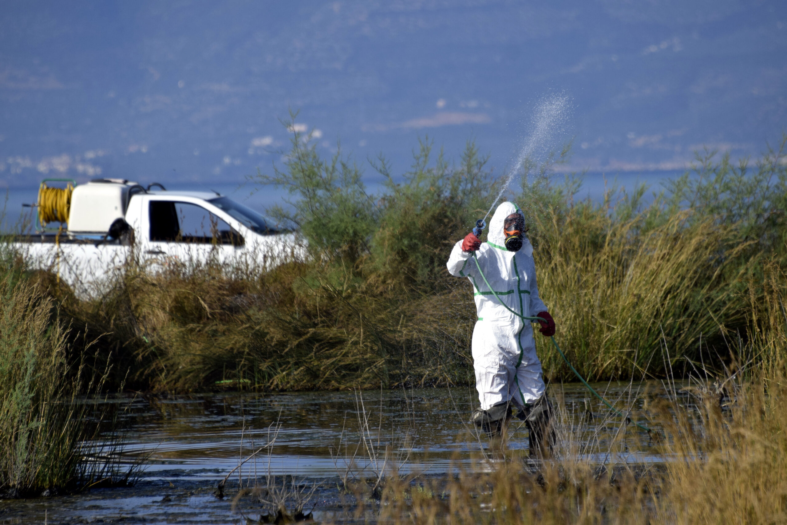 Δήμος Χαλκηδόνος: Ψεκασμοί για την καταπολέμηση των κουνουπιών, αύριο Παρασκευή