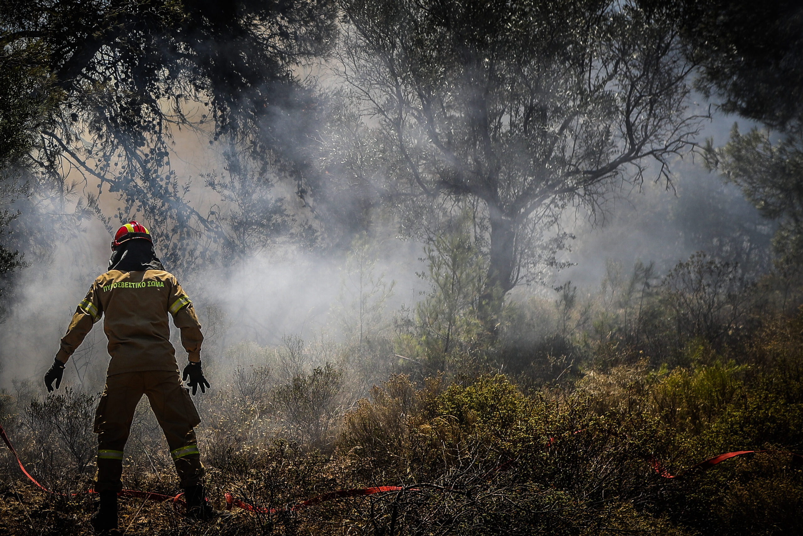 Μεγάλη φωτιά στα Μέγαρα – Έφτασαν στα πρώτα σπίτια στον οικισμό Ζάχουλη οι φλόγες