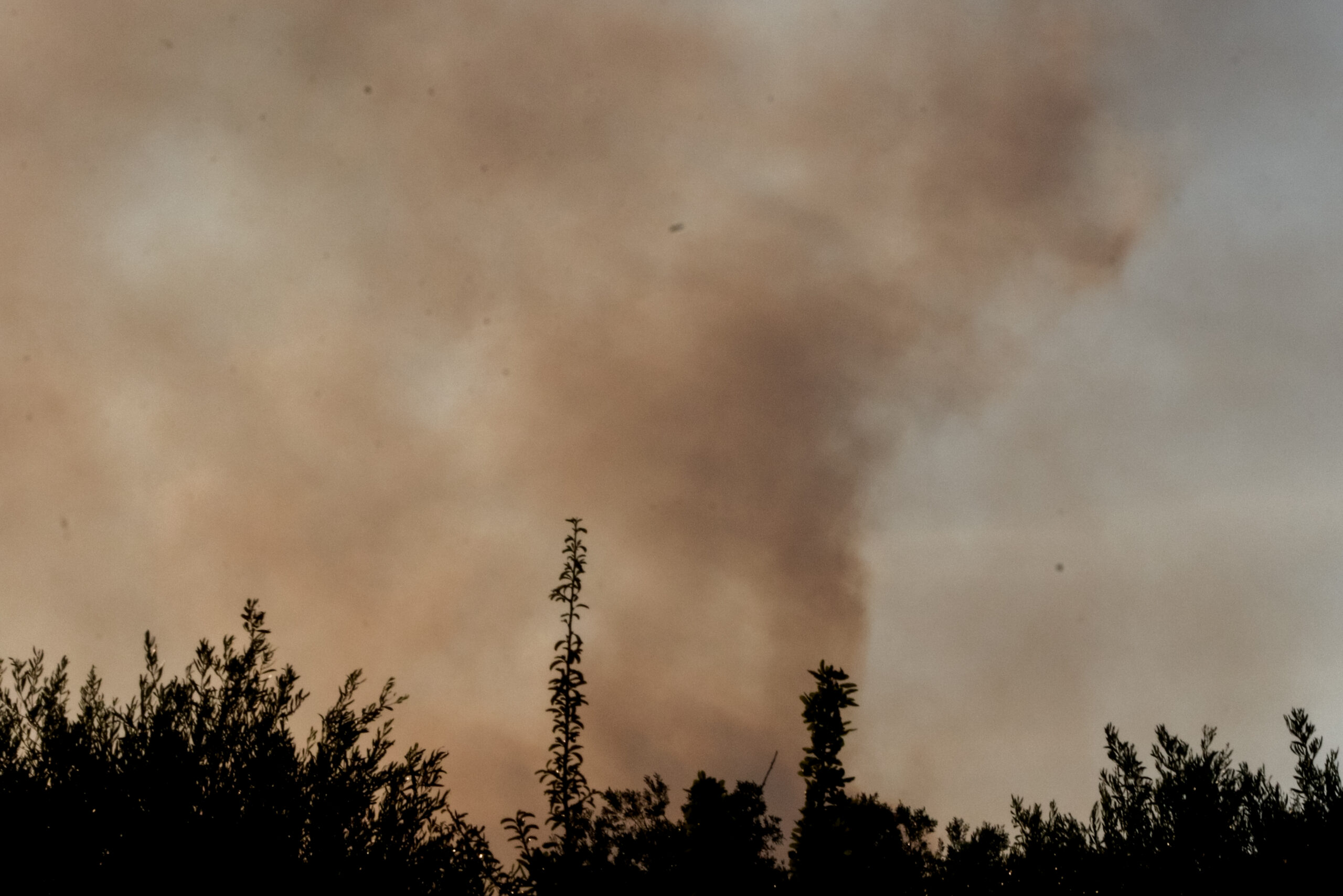 Φωτιά σε τρία μέτωπα στη Σαλαμίνα – Εκκενώνονται τρεις οικισμοί και το Κέντρο Υγείας