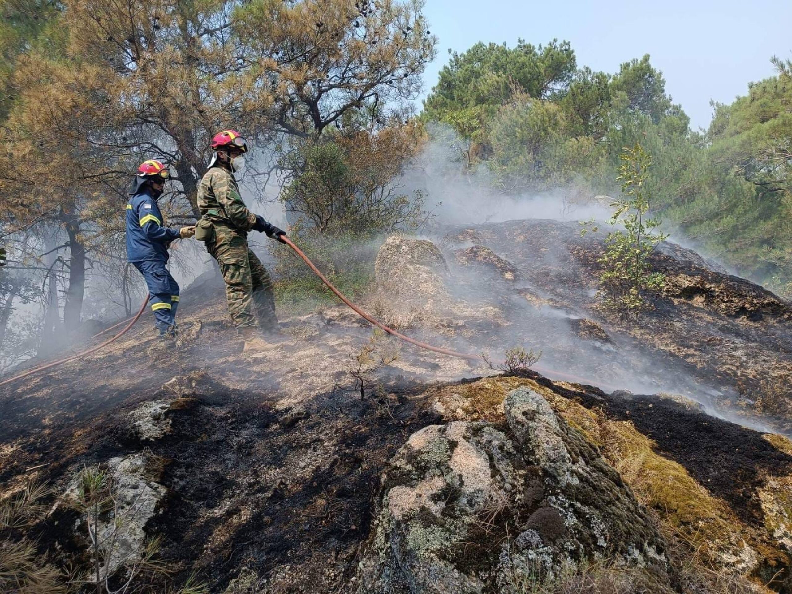 Κλιμάκιο του ΣΥΡΙΖΑ στη Δαδιά – Φάμελλος: Απαιτείται ενίσχυση της επιχειρησιακής ικανότητας και των δυνάμεων