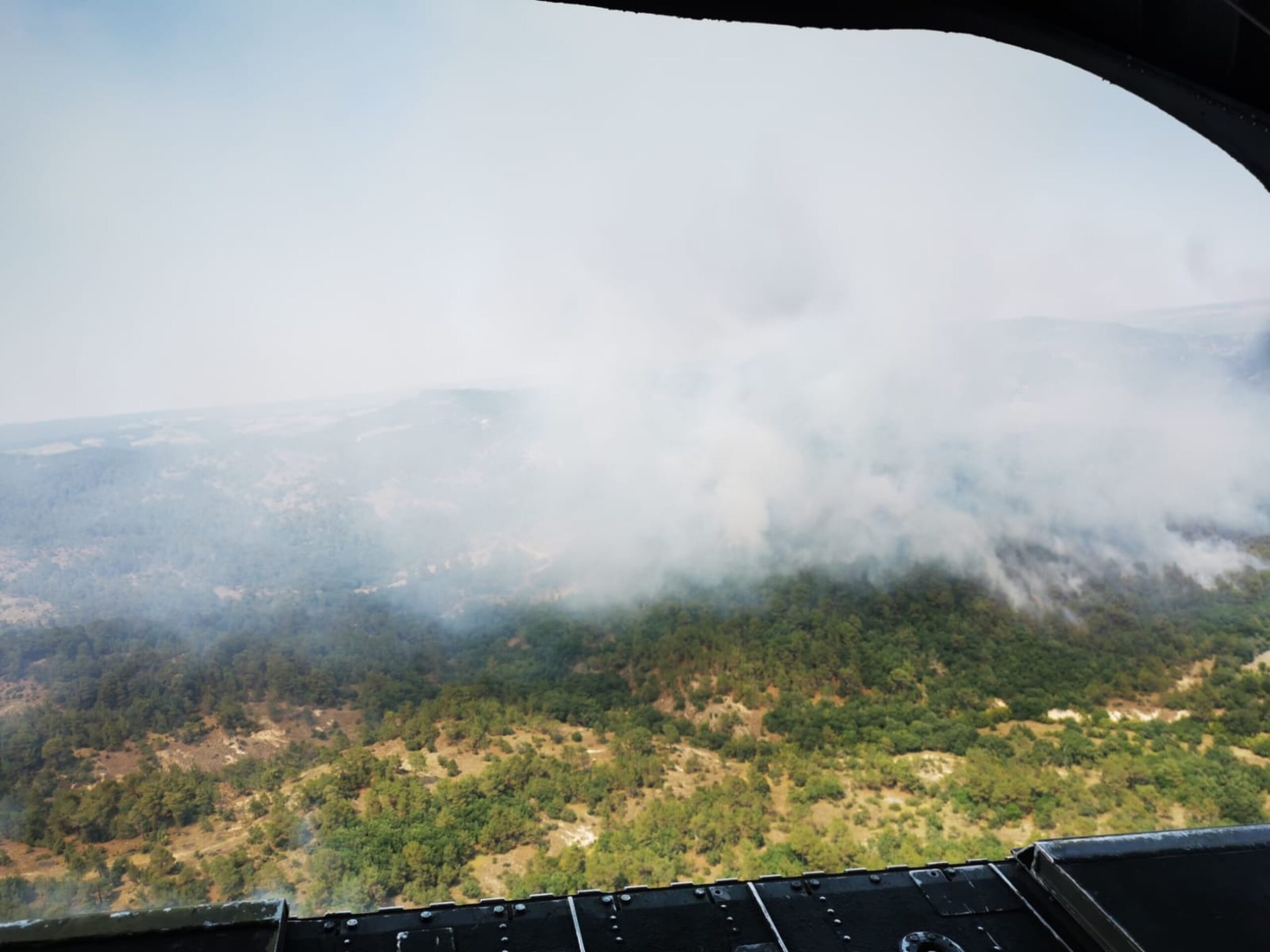 Μαίνεται η φωτιά στο παρθένο δάσος της Δαδιάς για 7η μέρα – Μεγάλη οικολογική καταστροφή