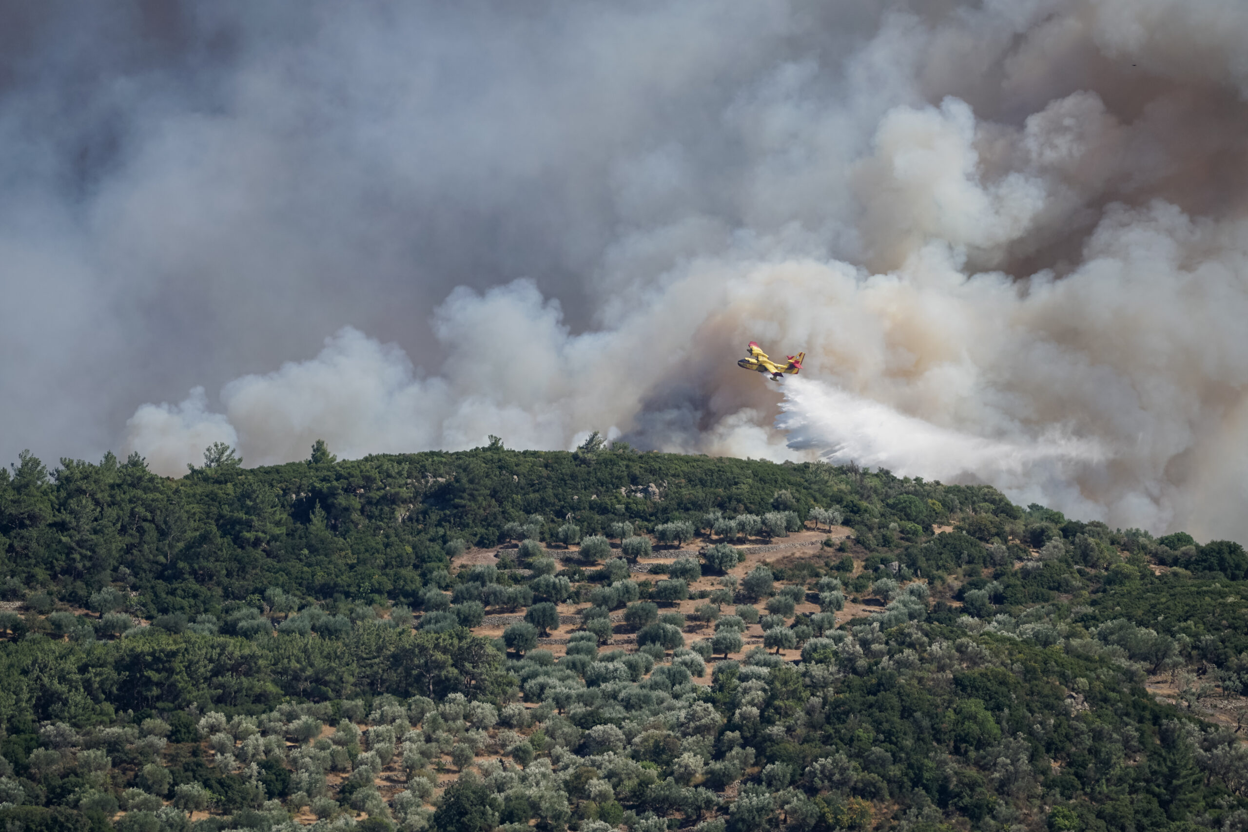 Συνεχίζεται η μάχη για τον έλεγχο της μεγάλης πυρκαγιάς στη νότια Λέσβο