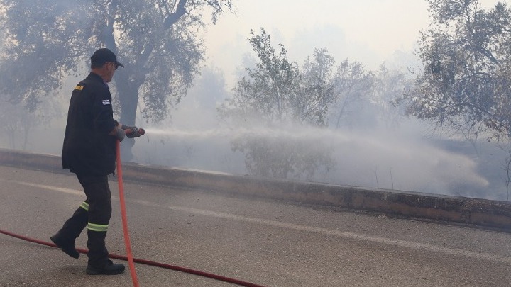 Φωτιά στην Αμαλιάδα: «Είναι καλύτερη απόψε η εικόνα» δηλώνει ο αντιπεριφερειάρχης Βασίλης Γιαννόπουλος