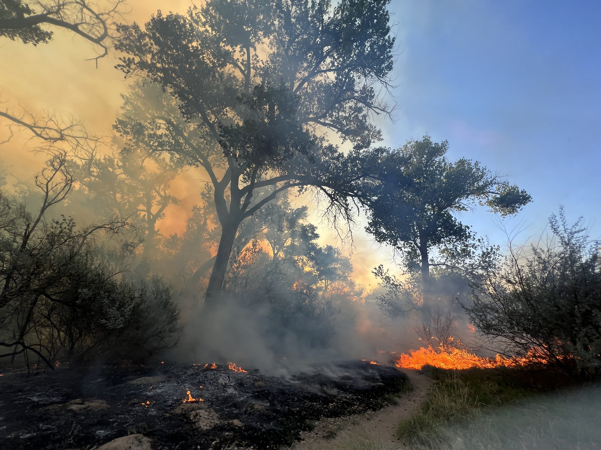 ΕΚΑΒ: Συνολικά 34 πολίτες από τις πυρόπληκτες περιοχές της Πεντέλης έχουν διακομισθεί σε νοσοκομεία