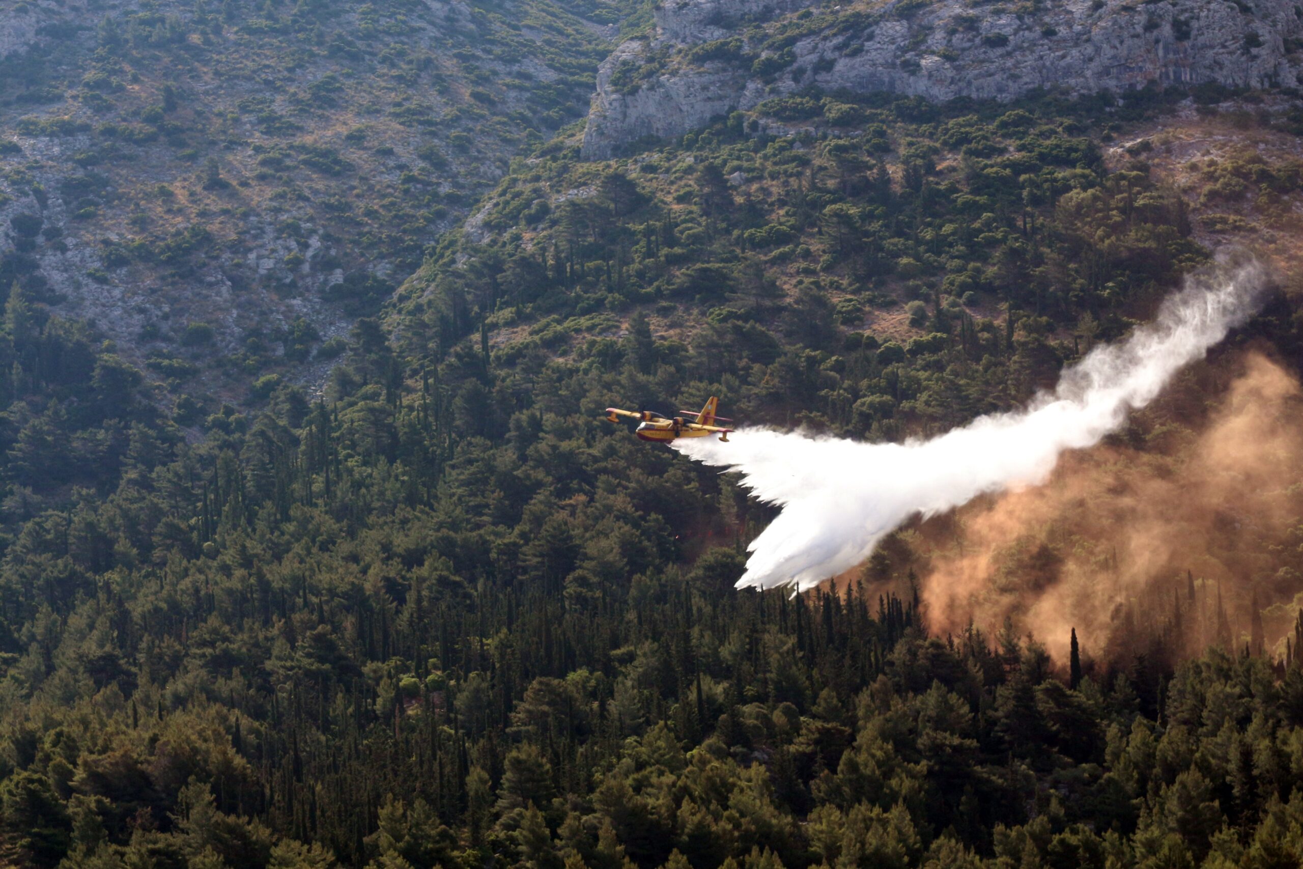 Άγιον Όρος: Φωτιά σε δασική έκταση στο Ακρωτήρι Αράπης (ΦΩΤΟ)