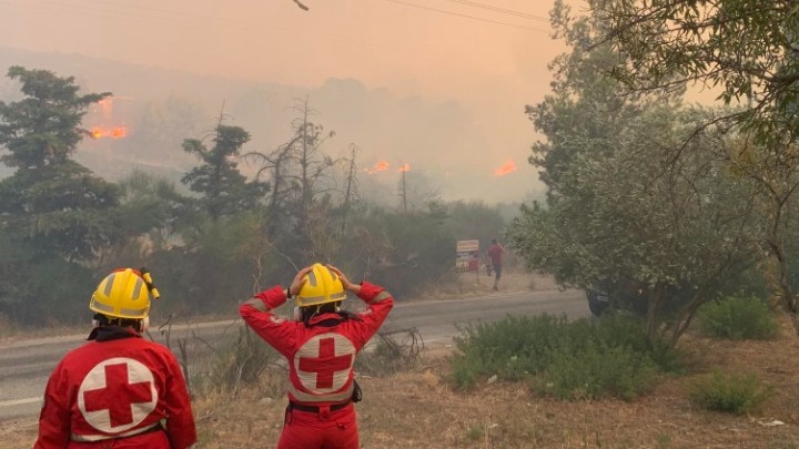 Φωτιά στην Ηλεία: Προσαγωγή ενός ύποπτου για εμπρησμό
