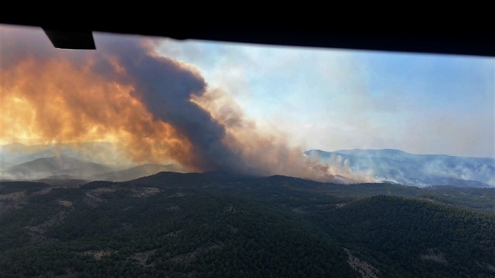 Κυβερνητικό κλιμάκιο, υπό τον Χρ. Στυλιανίδη, την Κυριακή στην περιοχή της Δαδιάς Έβρου