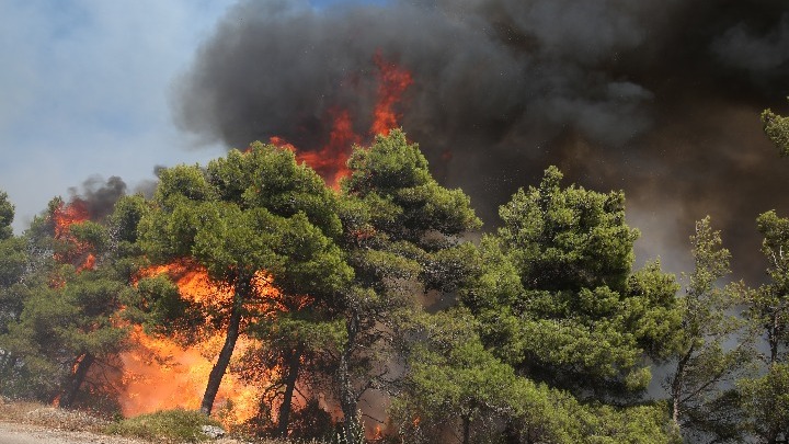 Υψηλός ο κίνδυνος πυρκαγιάς το Σάββατο (16/7) για 5 Περιφέρειες