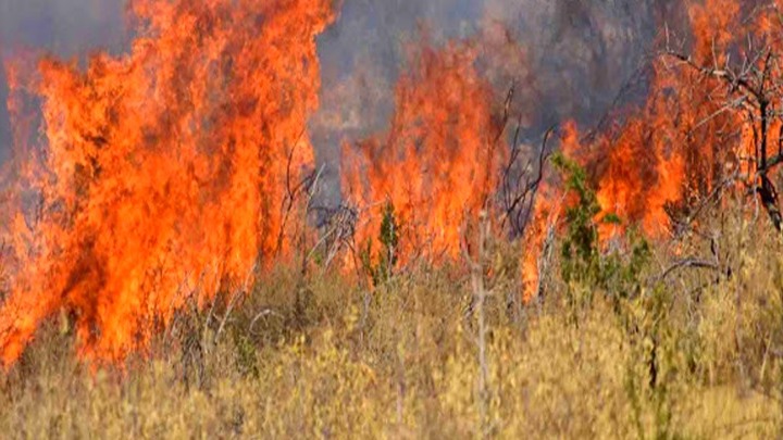 Πολύ υψηλός κίνδυνος πυρκαγιάς το Σάββατο για τις Περιφέρειες Αττικής και Στερεάς Ελλάδας