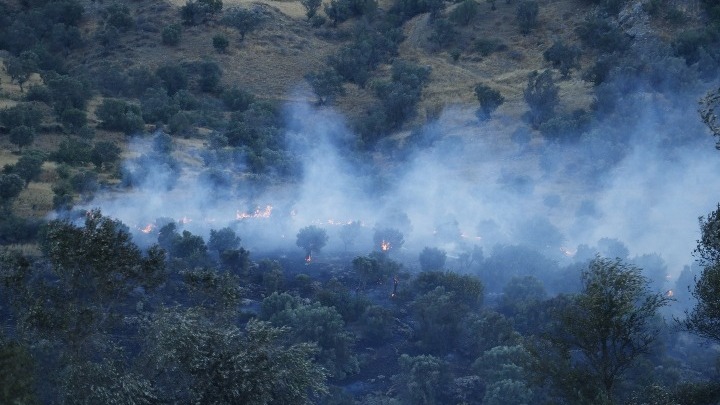Ρέθυμνο: Αναζωπύρωση της φωτιάς στον δήμο Αγ. Βασιλείου λόγω των ισχυρών ανέμων (vid)