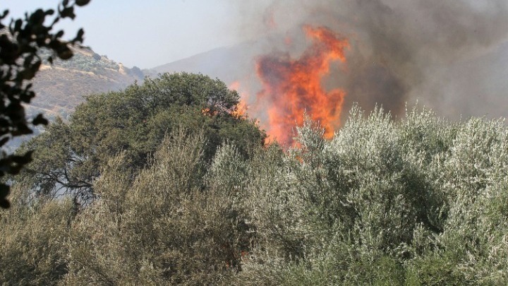 Κρήτη: Σε εξέλιξη η φωτιά στην Ορνέ