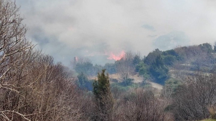 Οριοθετήθηκε η μεγάλη φωτιά στη Σάμο – Τεράστιο σύννεφο καπνού κάλυψε το νησί
