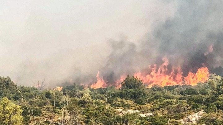 Σαράντα δασικές πυρκαγιές το τελευταίο 24ωρο