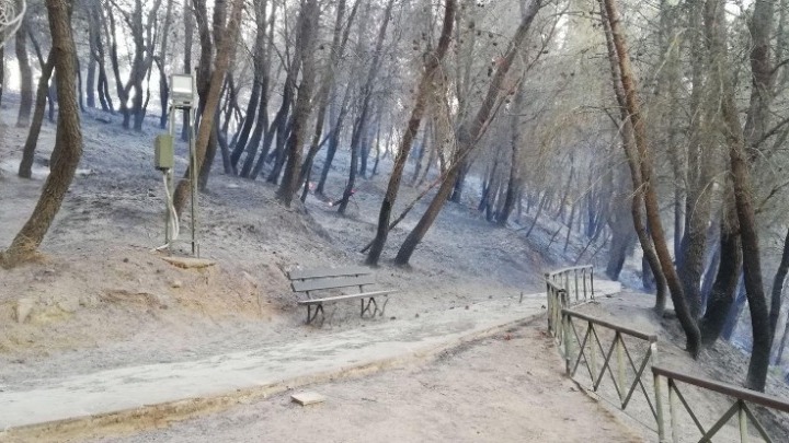 ΥΠΠΟΑ: Αναφορά για το μυκηναϊκό νεκροταφείο στις Πόρτες Αχαΐας και την πυρκαγιά της 3ης Ιουλίου