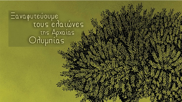 «Ξαναφυτεύουμε τους ελαιώνες της Αρχαίας Ολυμπίας»: Εκδήλωση για τη μεγάλη δωρεά προς τους καλλιεργητές της περιοχής