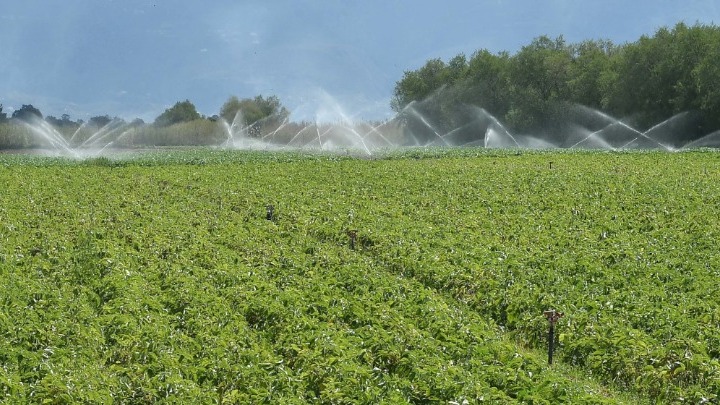 ΥΠΑΑΤ: Αρδευτικά έργα 41,5 εκατ. ευρώ στη Φλώρινα