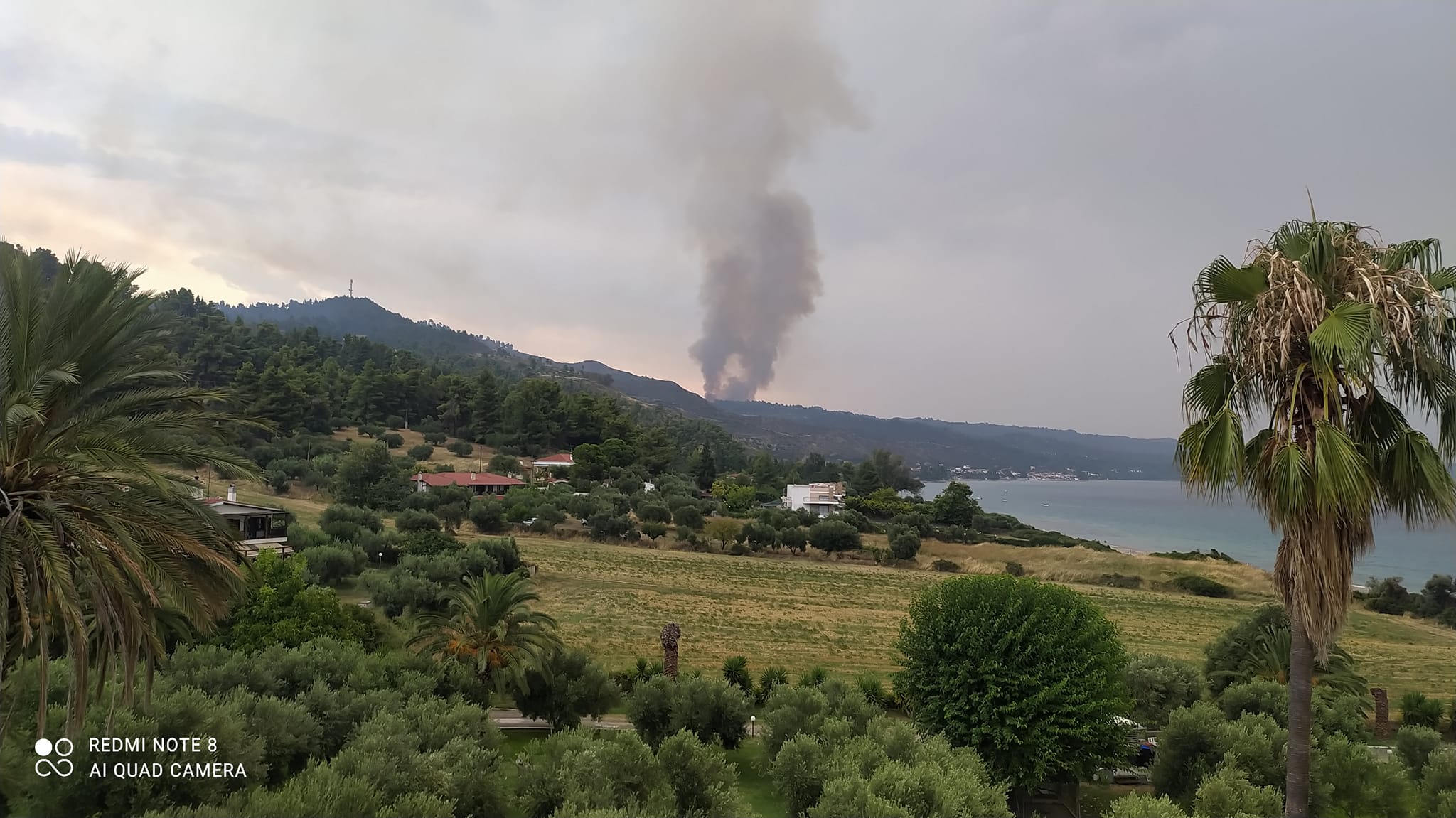 Φωτιές στη Χαλκιδική: Εναέρια μέσα επιχειρούν στη Μόλα Καλύβα – Καλύτερη η εικόνα σε Ν. Μαρμαρά και Φούρκα