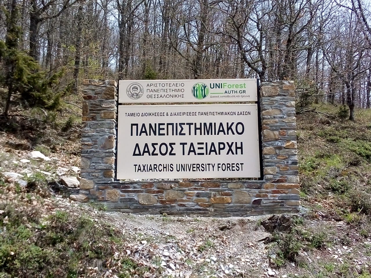 “Στα κάγκελα” για το Πανεπιστημιακό Δάσος Ταξιάρχη