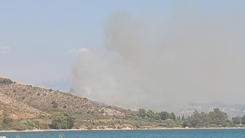 Φωτιά στη Σαγιάδα Θεσπρωτίας