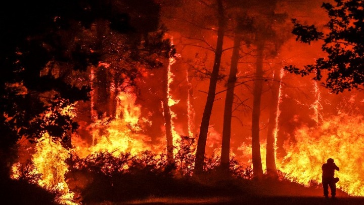 Τραγωδία στην Αλγερία: Τουλάχιστον 38 νεκροί από τις πυρκαγιές που μαίνονται στη χώρα