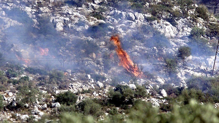 Έσβησε η φωτιά στον εθνικό δρυμό της Βάλια Κάλντα