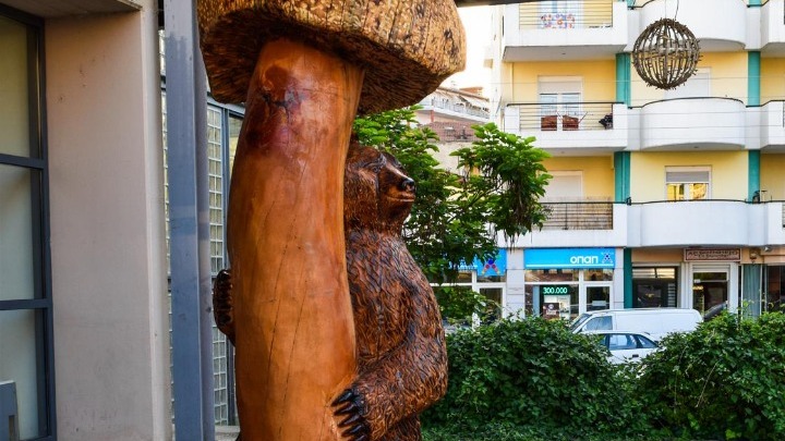 Γρεβενά: Κορμοί δέντρων γίνονται έργα τέχνης στην υπαίθρια «μανιταρογλυπτική» με αλυσοπρίονα