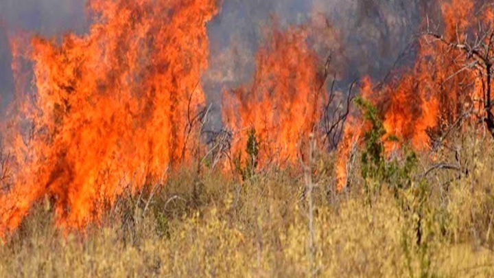 Θεσσαλονίκη: Πυρκαγιά στο Ωραιόκαστρο – Επιχειρούν εναέριες δυνάμεις
