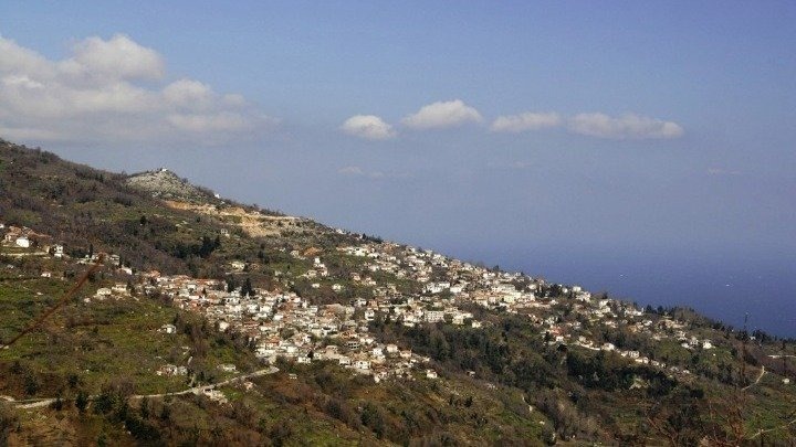 Στον δήμο Αρριανών ο πρώτος συνεταιρισμός παραγωγών στέβιας