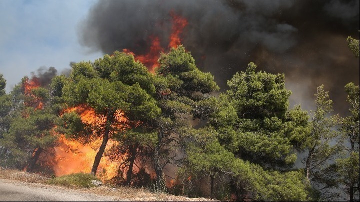 Σε ύφεση η φωτιά στη Φυλιαδώνα Φθιώτιδας – 33 δασικές πυρκαγιές το τελευταίο 24ωρο