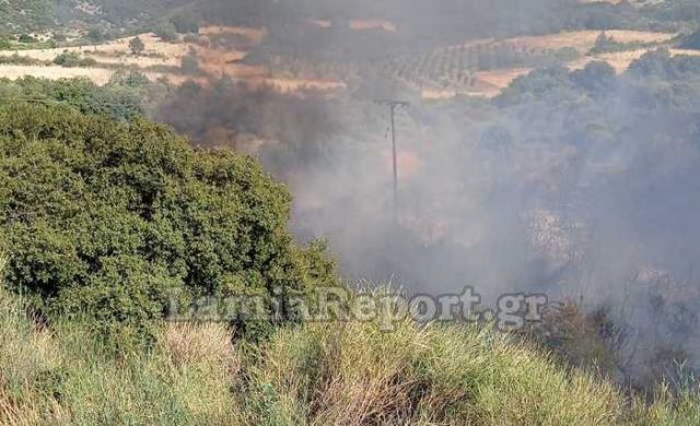 Πυρκαγιά στο Λογγίτσι Στυλίδας (pic)