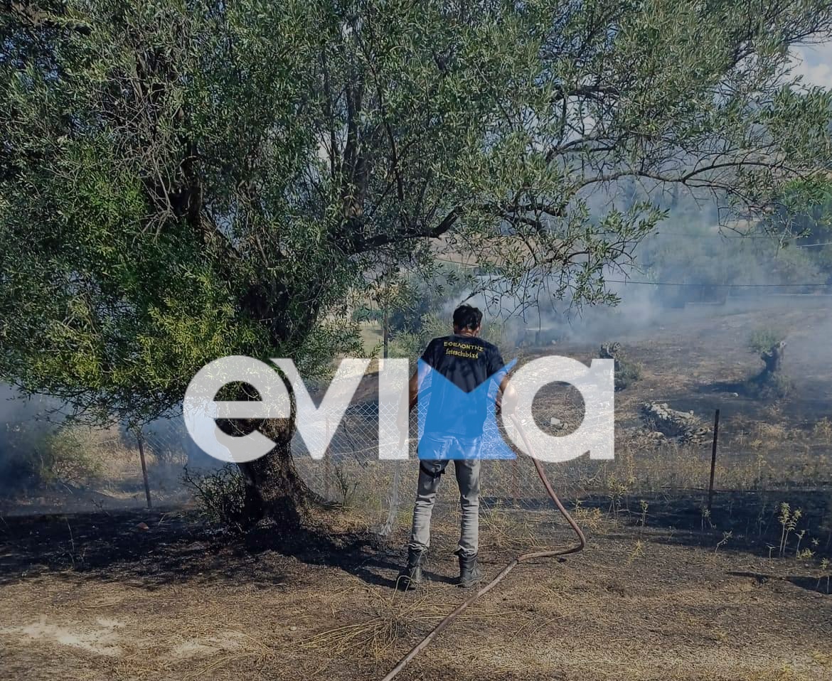 Εύβοια: Πυρκαγιά κοντά σε σπίτια στην Ερέτρια – Τέθηκε γρήγορα υπό έλεγχο (pics)