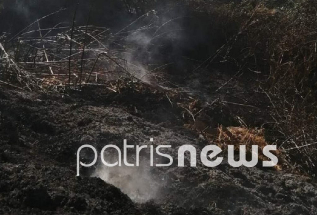 Ηλεία: Αρχαίοι κίονες ήρθαν στο φως μετά τη φωτιά στα Λεχαινά