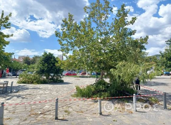 Καλαμάτα: Ανεμοστρόβιλος «πέρασε» από το ιστορικό κέντρο – Δείτε βίντεο