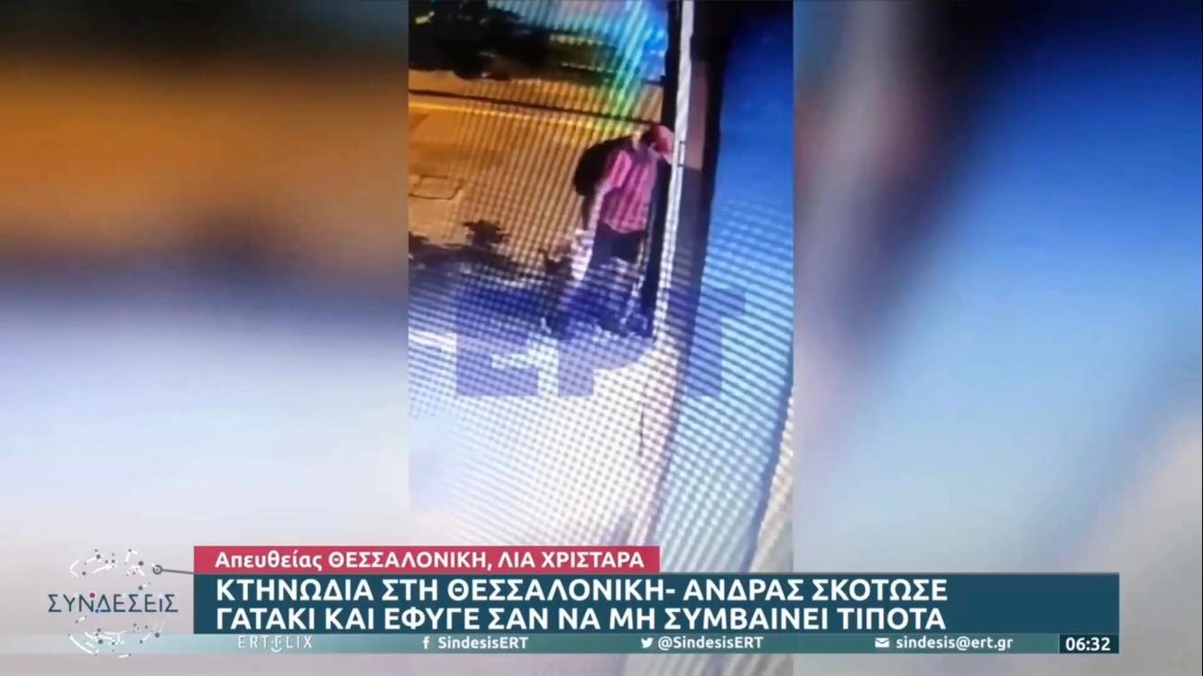 Βίντεο Σοκ: Άνδρας τσαλαπατάει νεογέννητο γατάκι στη Θεσσαλονίκη