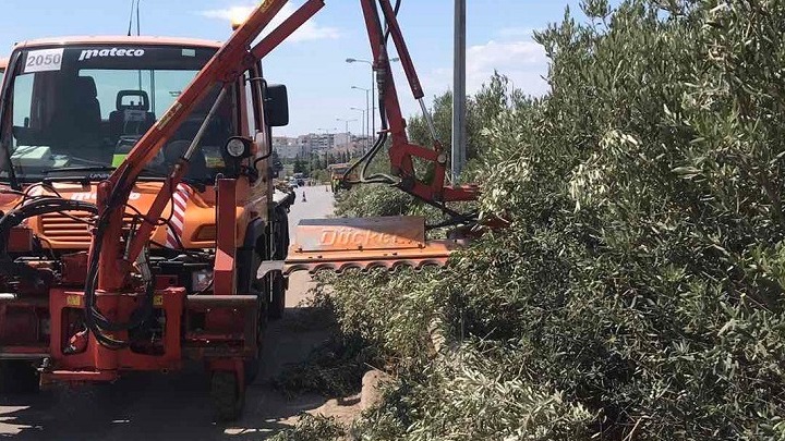 Εργασίες κοπής δένδρων από σήμερα στην Ε.Ο. Θεσσαλονίκης – Νέων Μουδανιών