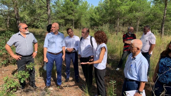 Γ. Αμυράς από Σέιχ Σου : Αναδάσωση σε 28 θέσεις του δάσους με 42.500 πλατύφυλλα