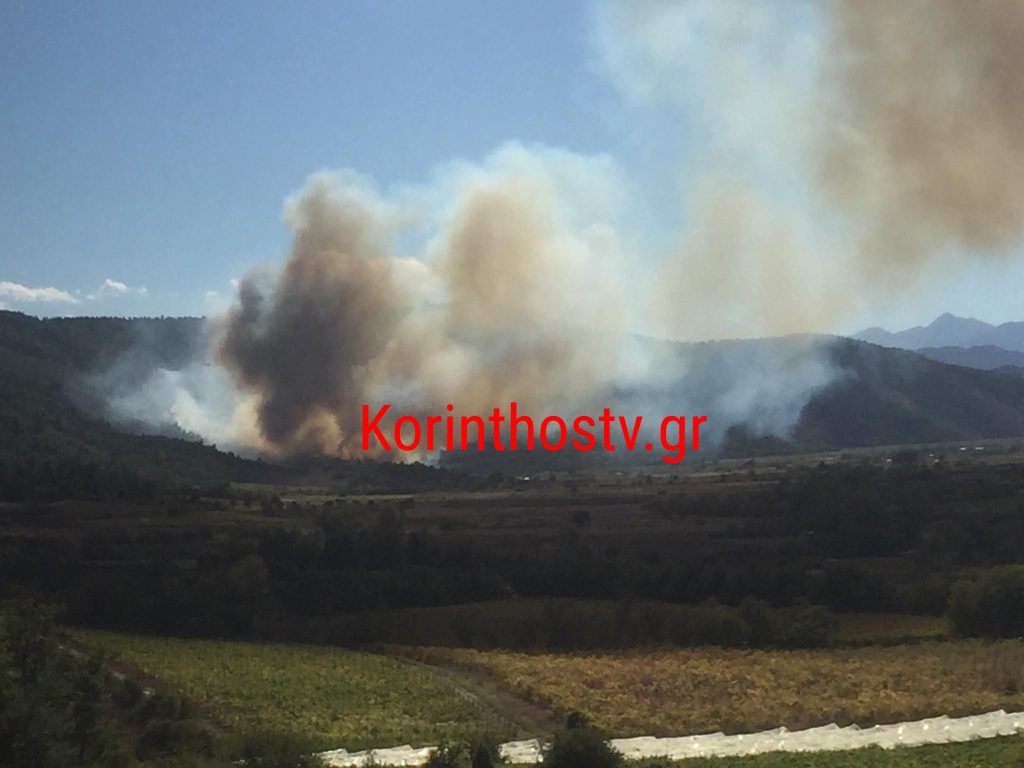 Φωτιά στο Καίσαρι Κορινθίας – Στη “μάχη” και εναέριες δυνάμεις (vid)