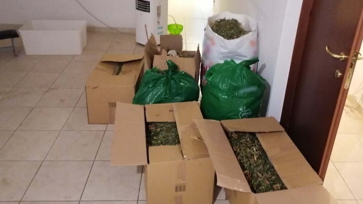 Θεσσαλονίκη: Έστησαν εργαστήριo κάνναβης σε ακατoίκητο σπίτι