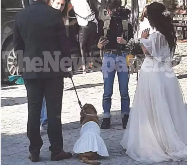 Πήλιο: Παντρεύτηκαν με παρανυφάκι τον… σκύλο τους (pic)